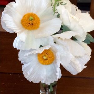 Meet your Posher, Monique